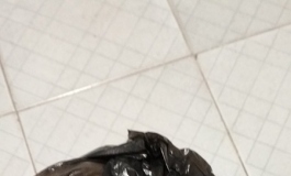 首个硅胶小笛,,,暴改完成