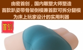 腿模设计的新思路由密组装腿模