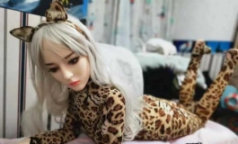 小野猫