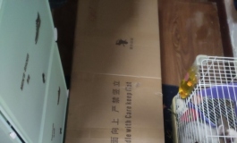 有空拍点属于自己的娃了---良一官博娘