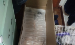 有空拍点属于自己的娃了---良一官博娘