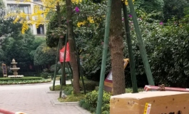娃友的收货拍的返图和脸部特写美图
