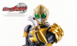 #第二届摄影大赛#【小娃组】Kamen Rider Beast