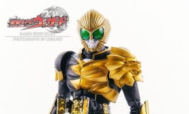 #第二届摄影大赛#【小娃组】Kamen Rider Beast