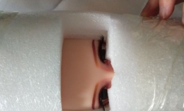 娃友晒娃开箱反图
