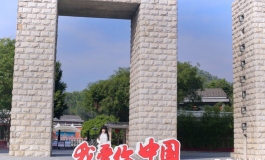 #第二届摄影大赛#【大娃组】双生
