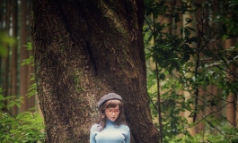 Huge tree in the forest