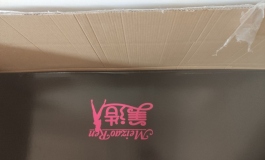 我買了一個冰睡美人回家，美造人160S妝開箱測評！