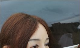 暗度陈仓之野战后续