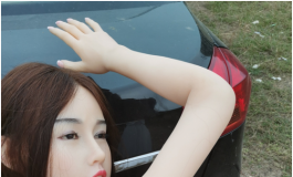 暗度陈仓之野战后续