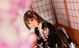 三月的回忆 12 和光魅影 千夏