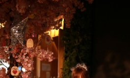 今夜我陪你，可好?-安妮