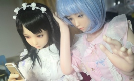 后宅日常（Starring：烧饼、四季夏）（Friendship star：晓美焰）