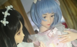 后宅日常（Starring：烧饼、四季夏）（Friendship star：晓美焰）