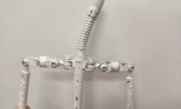关于骨架的那些事