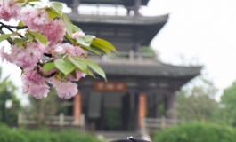 汉服媛外拍音乐视频-《落花情，流水意》