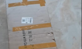 那娃便在灯火阑珊处——彼之良·洛娜开箱