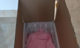 那娃便在灯火阑珊处——彼之良·洛娜开箱