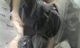 今天刚到货148小苍兰，跟大家分享一波开箱