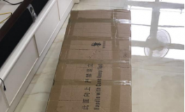 新人第一次入坑实体娃娃，望各位大佬评定下