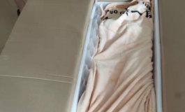 娃娃小蝶初开箱——致我那已然逝去的青春