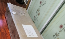 “陪你十几天了都不让我见人！”凛音要跟我闹小脾气了