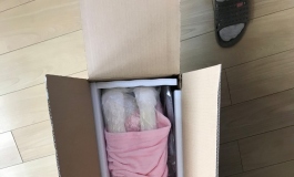 [168娃娃屋]80CM小娃栞开箱评测