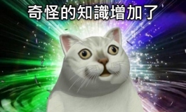 私處對比！美造人VS雜牌TPE娃娃！