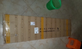 彼之良 晚香玉开箱