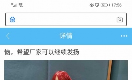 请问这个是什么娃娃，找到了告诉我