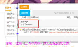 求助帖-求助大神如何发在帖子插入视频