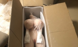 新手报道，开箱小记续