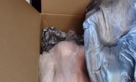 沙雕姐妹日记：大量视频更新！第六篇：害羞的阿江