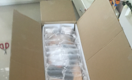 迟到的开箱——彼之良148小苍兰