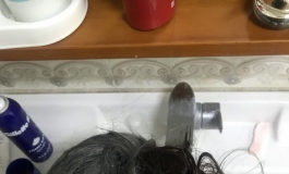 彼之良~我与小苍兰的日常生活