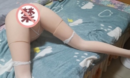 由密腿模（炮架）玩家美照 真实评测