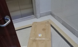 第一个娃到手，开箱----叁卉米沙