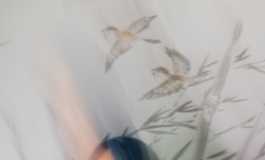 小雨蝶穿汉服第二弹
