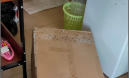 来个全TPE160S开箱贴