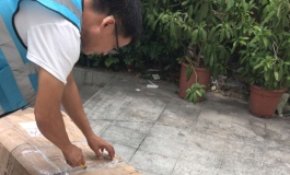 新人开箱贴，开箱神秘品牌（她语）的“夏娃”。