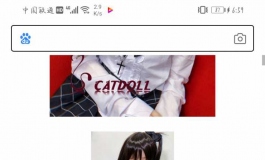 这个叫什么名字呀？网上也搜不到