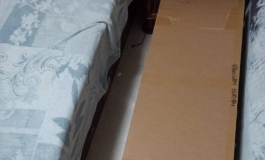 俊影的大婆娘开箱