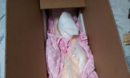 俊影的大婆娘开箱