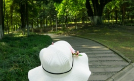 樱奈共舞，鱼樱合鸣