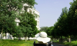 樱奈共舞，鱼樱合鸣