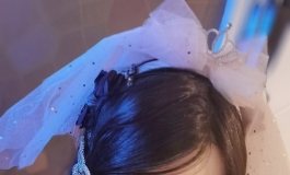 沙雕姐妹日记：夏日福利总集！主人的相册调查！番外篇！
