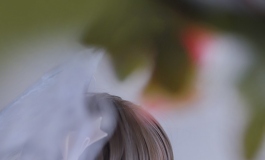 花前日下小甜甜~