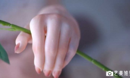 155硅胶体，花小容