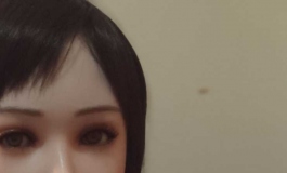 人造人12配艾琳娜