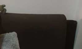 人造人12配艾琳娜